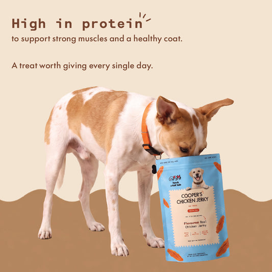 Two & a Half Tails Cooper's Chicken Jerky 70g | Grain-Free Dog Treats