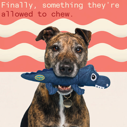 Two & a Half Tails Jaws the Croc Chew Toy