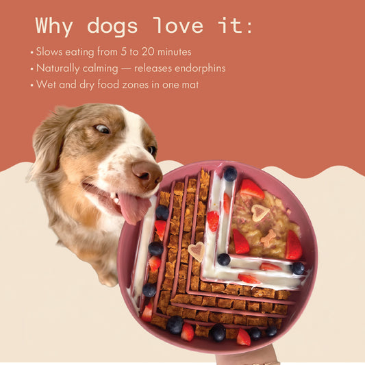 Two & a Half Tails Maze & Craze Slow Feeder / Lick Mat