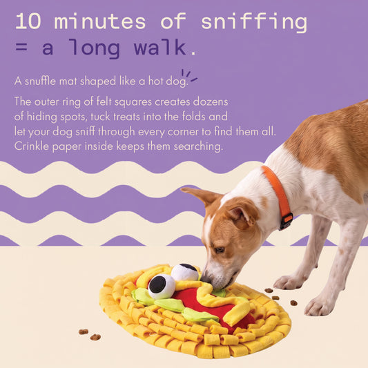 Two & a Half Tails The Barkdog Snuffle Mat
