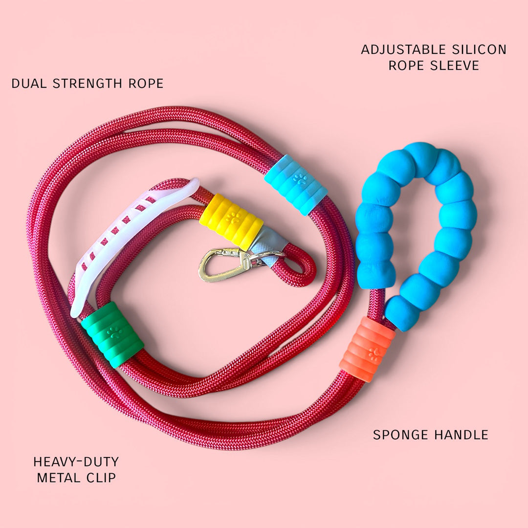 Talking Dog Club Vivid- Bright Color Extra Stong Leash - Red Leash/ Blue Handle