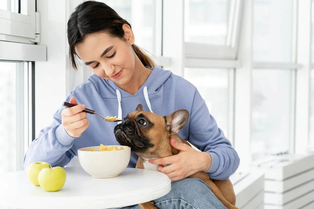 6 Human Foods Your Dog can Eat and Relish - Wagr Petcare