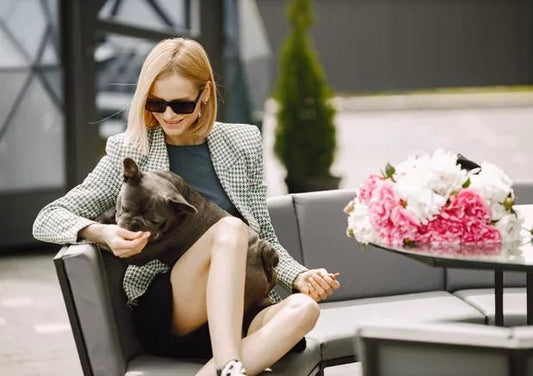 6 Most Pet-Friendly Restaurants And Cafes in Bangalore - Wagr Petcare