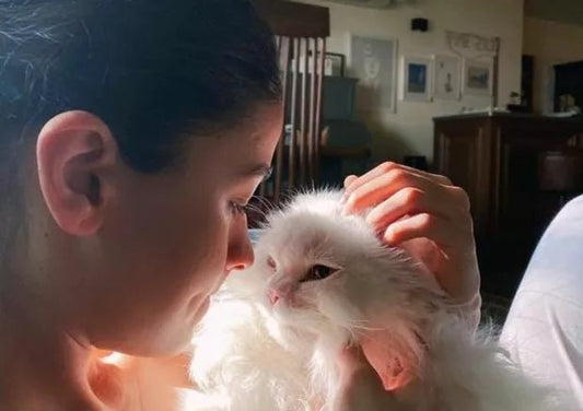 Celebrity Pets of B-Town: Indian Movie Stars with Their Pets - Wagr Petcare