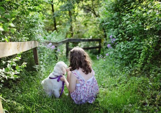 Introducing your dog to children - Wagr Petcare