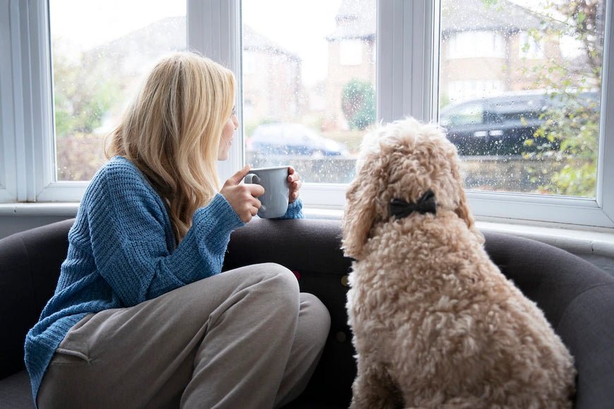 Monsoon Diseases in Dogs: Symptoms, Prevention, and Treatment - Wagr Petcare