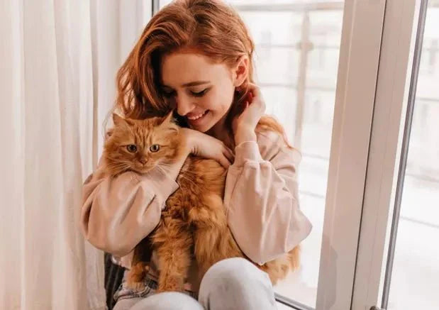 When Is Vet Consultation Required for Cats? - Wagr Petcare