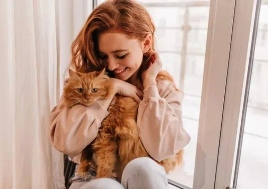 When Is Vet Consultation Required for Cats? - Wagr Petcare