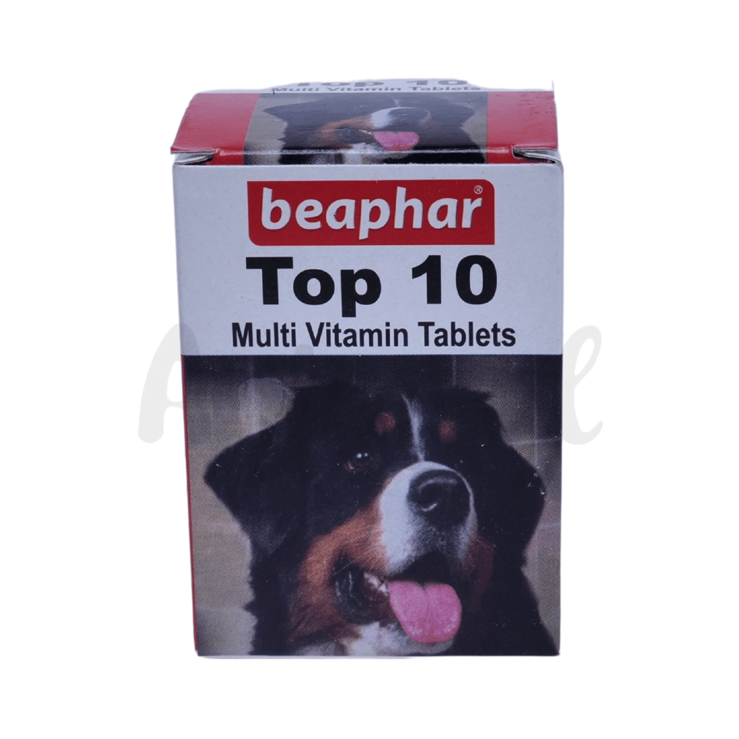 TOP 10 DOG TABLET (M) - Animeal
