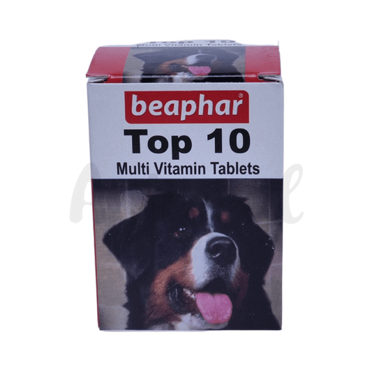 TOP 10 DOG TABLET (M) - Animeal