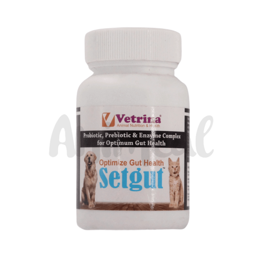 SETGUT PET POWDER - Animeal