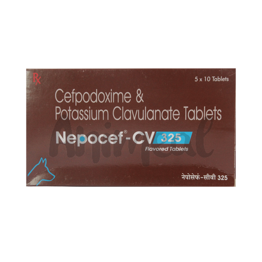 NEPOCEF-CV 325MG TABLET - Animeal