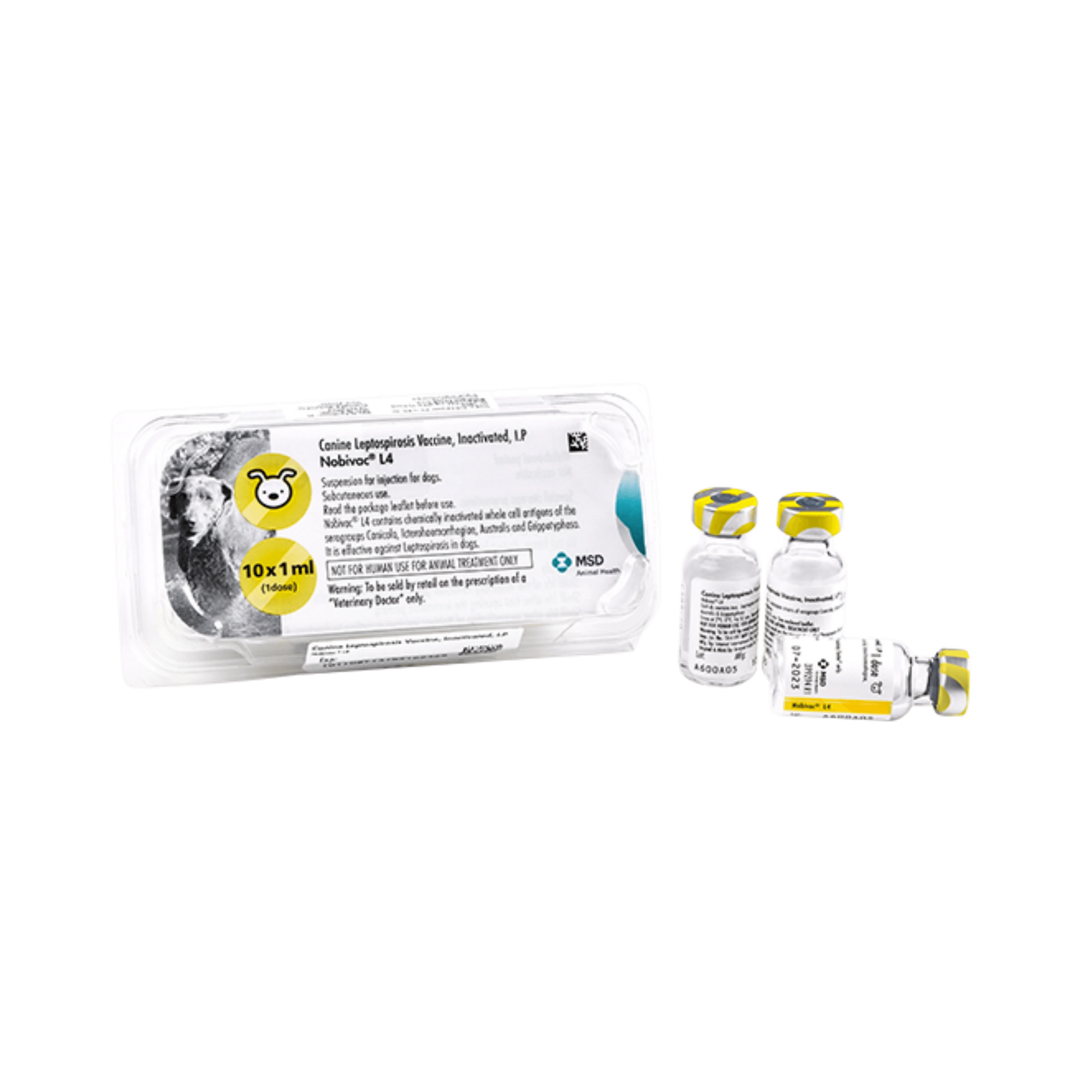 NOBIVAC L4 (LEPTOSPIROSIS ) - Animeal