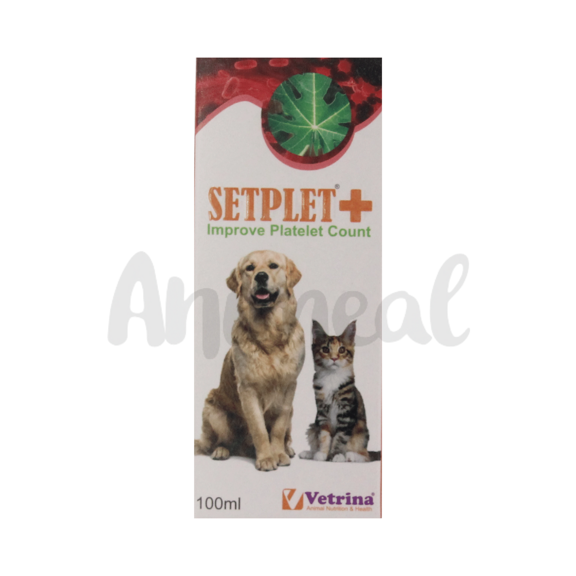 SETPLET PLUS SYRUP - Animeal