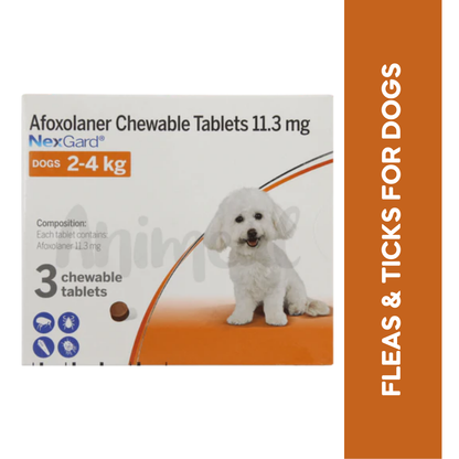 NEXGARD (2KG-4KG) DOG TABLET - Animeal