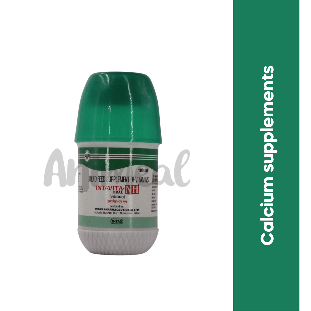 INTAVITA NH SYRUP - Animeal