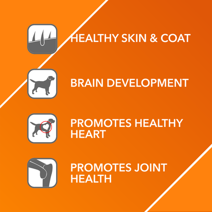 ABSOLUTE SALMON OIL (L) - Animeal