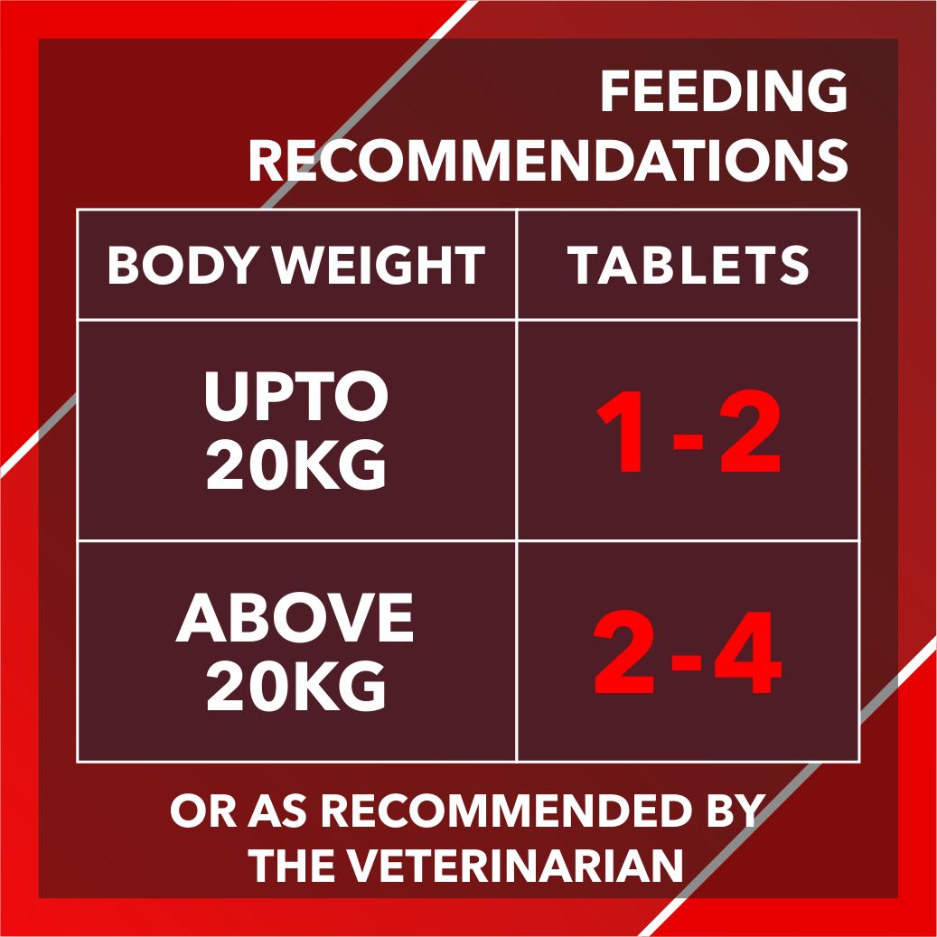ABSOLUTE CALCIUM TABLET - Animeal
