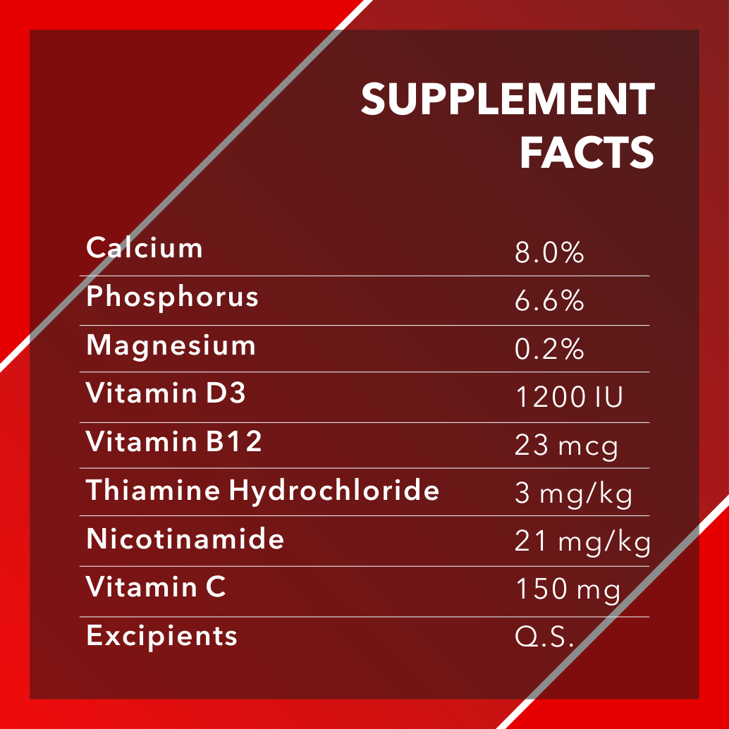 ABSOLUTE CALCIUM TABLET - Animeal