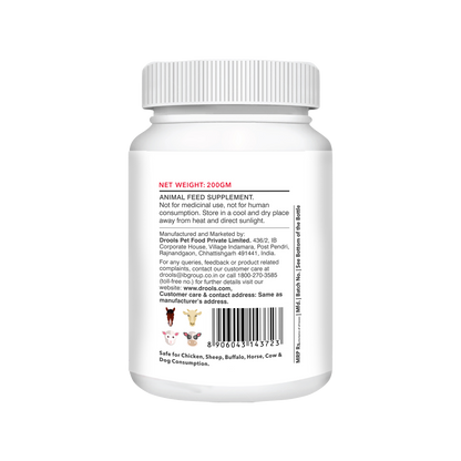 ABSOLUTE CALCIUM TABLET - Animeal