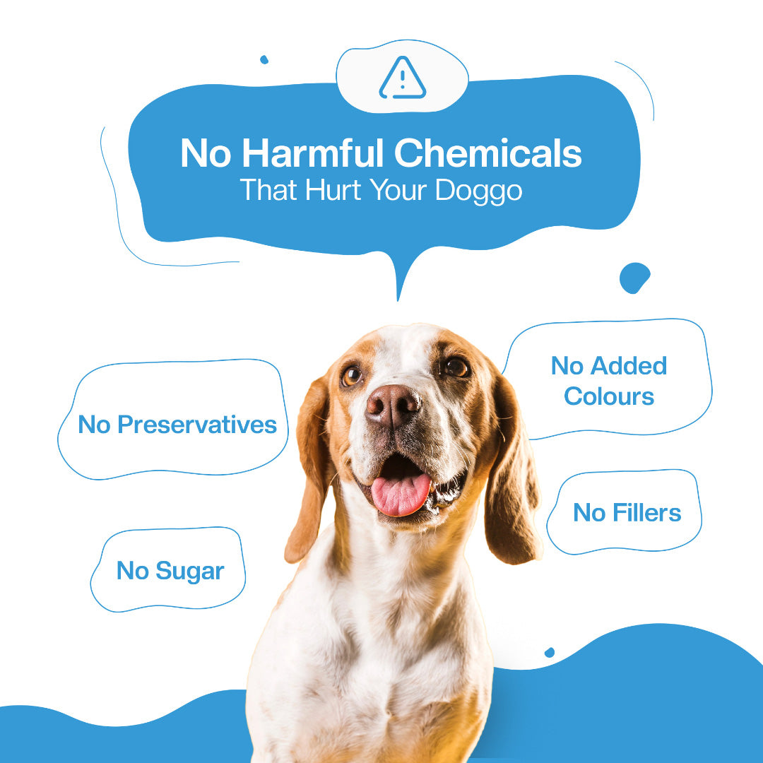 BLEP Fish Beans Dog Wet Food Trial Pack | 100g | 5 Pack