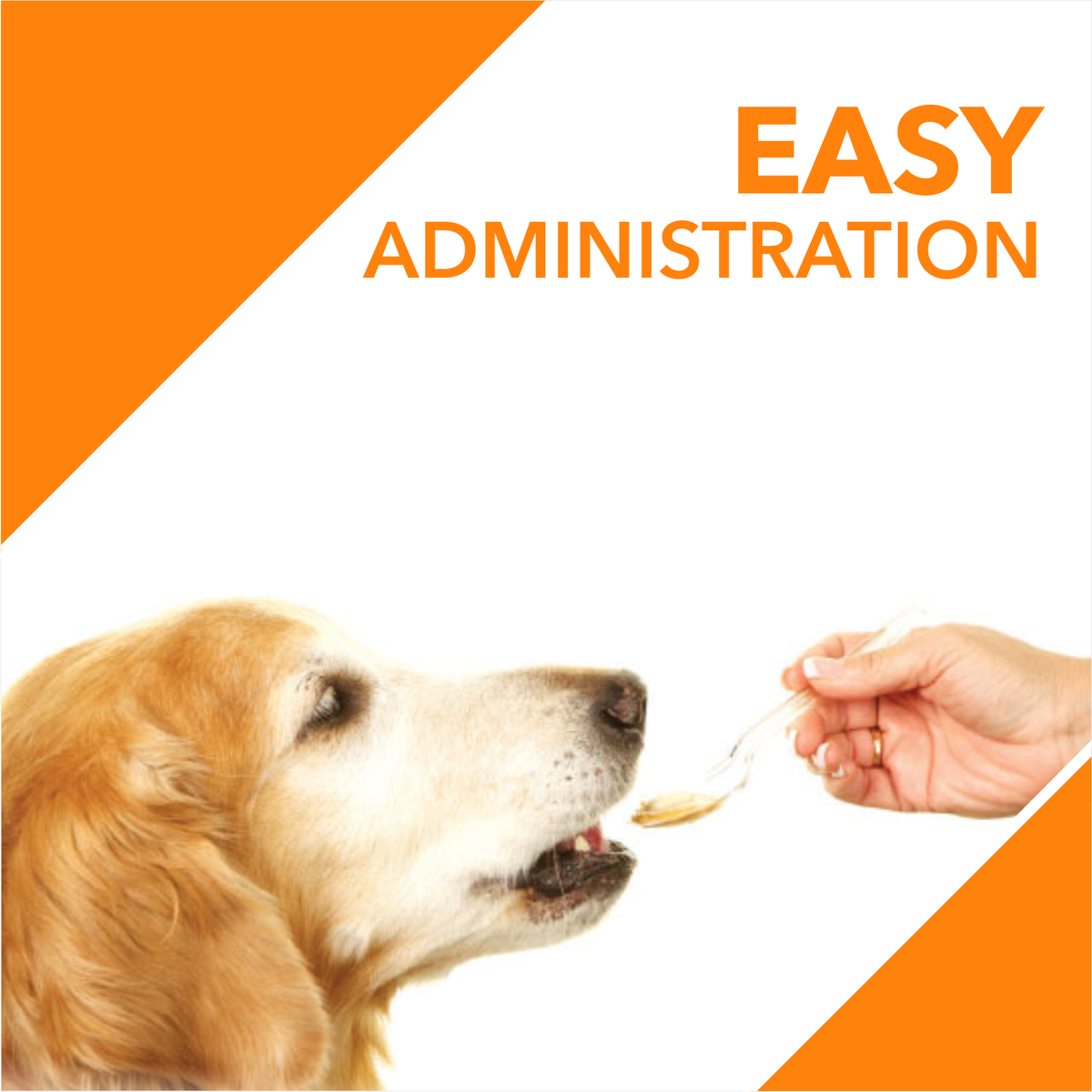 ABSOLUTE SALMON OIL (L) - Animeal