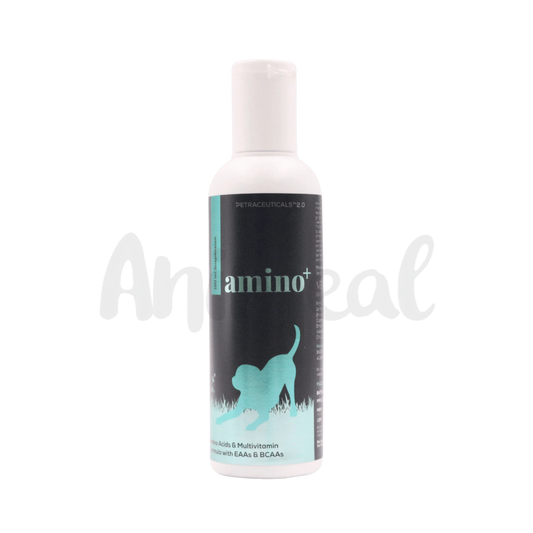 AMINO + SYRUP - Animeal
