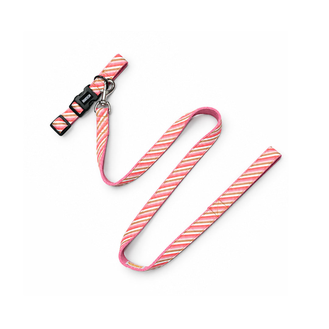 ARAMESH Blush Cotton Collar & Leash Set