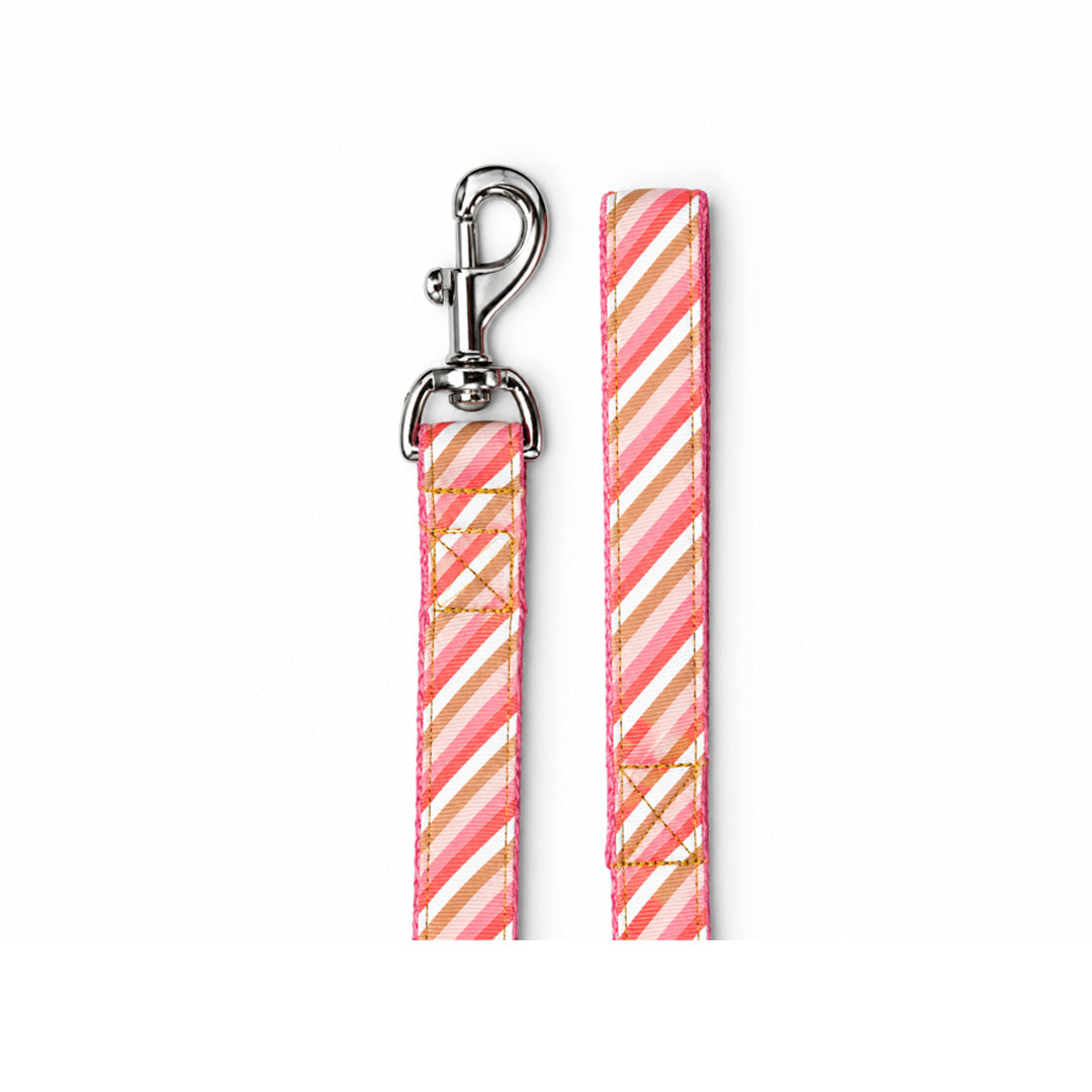 ARAMESH Blush Cotton Collar & Leash Set