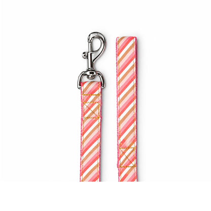 ARAMESH Blush Cotton Collar & Leash Set