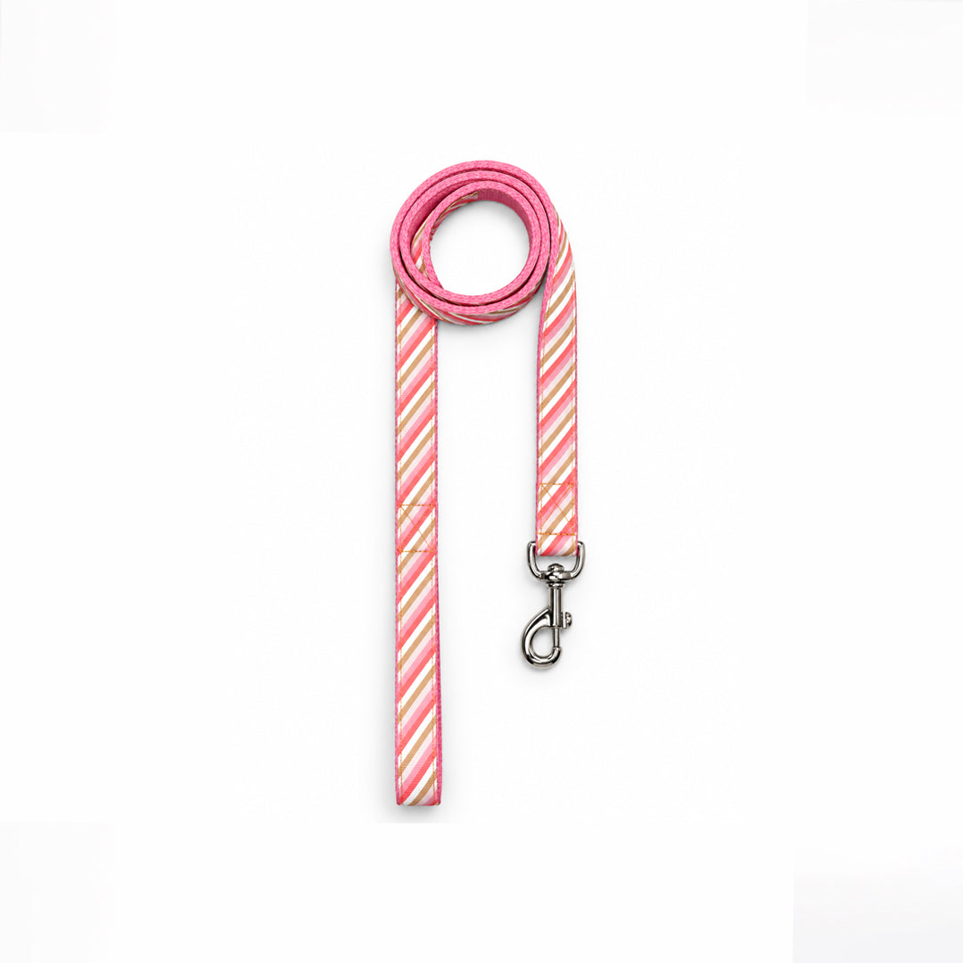 ARAMESH Blush Cotton Leash