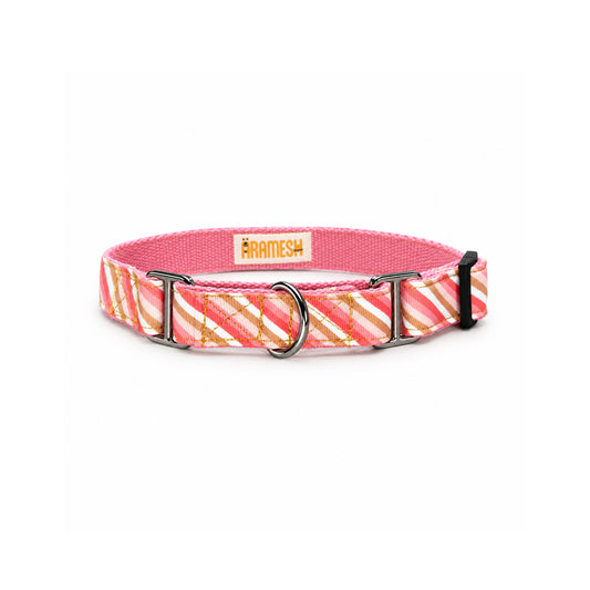 ARAMESH Blush Cotton Martingale Collar