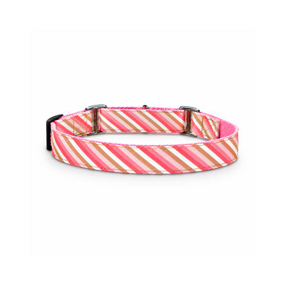 ARAMESH Blush Cotton Martingale Collar