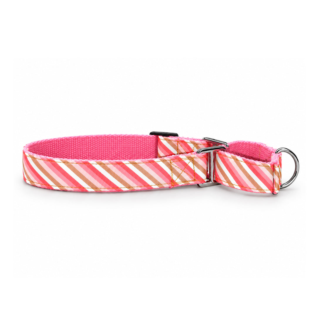 ARAMESH Blush Cotton Martingale Collar