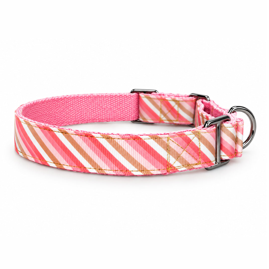 ARAMESH Blush Cotton Martingale Collar