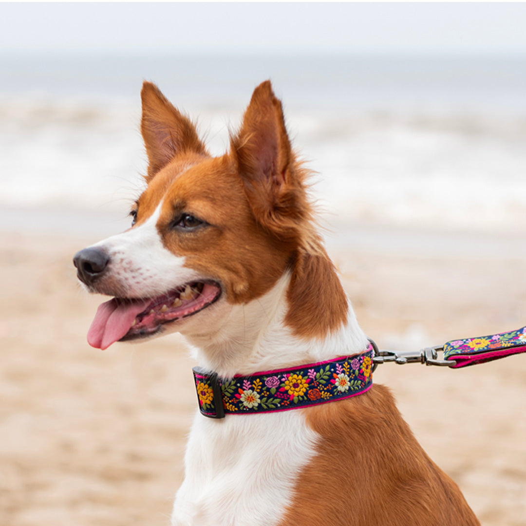 ARAMESH Coastal Bloom Cotton Collar & Leash Set