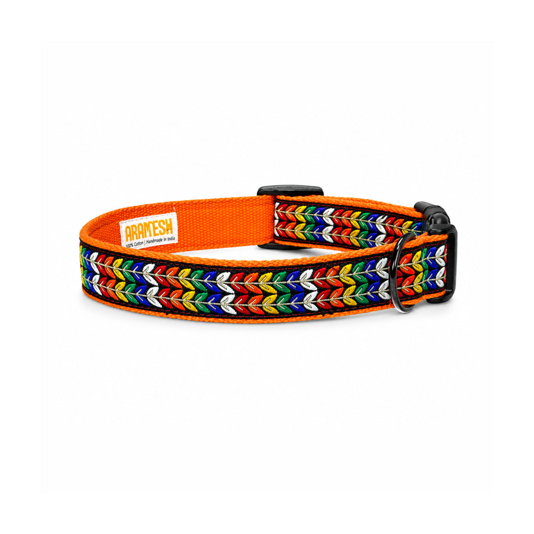 ARAMESH Colourful Trails Cotton Collar & Leash Set