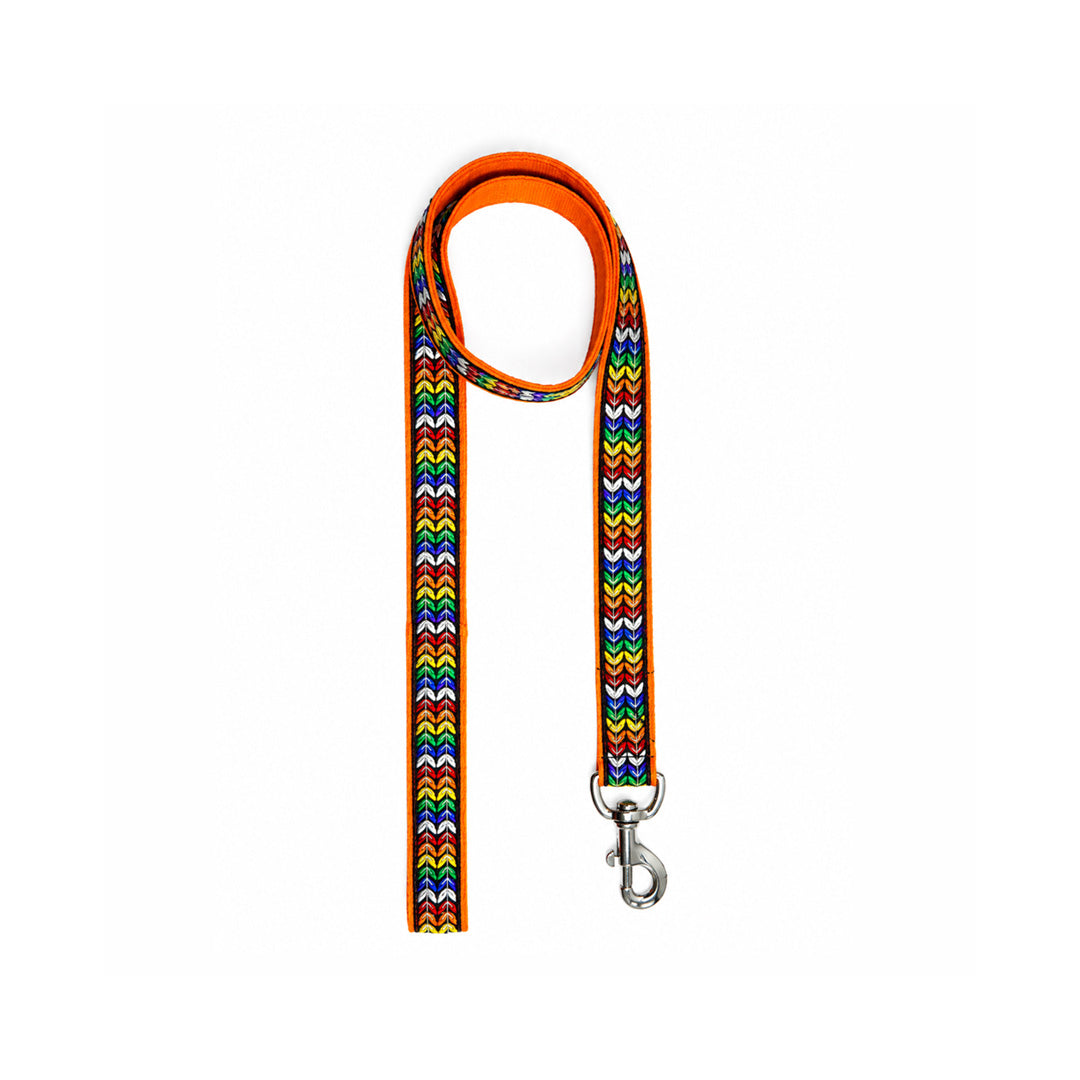 ARAMESH Colourful Trails Cotton Collar & Leash Set