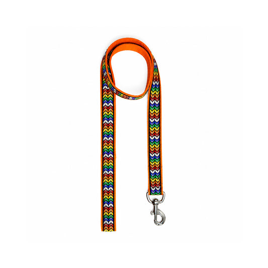 ARAMESH Colourful Trails Cotton Collar & Leash Set