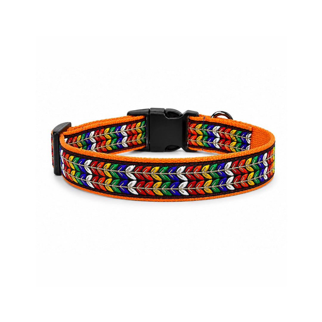 ARAMESH Colourful Trails Cotton Collar & Leash Set