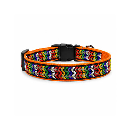 ARAMESH Colourful Trails Cotton Collar & Leash Set