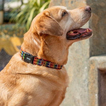 ARAMESH Colourful Trails Cotton Collar & Leash Set