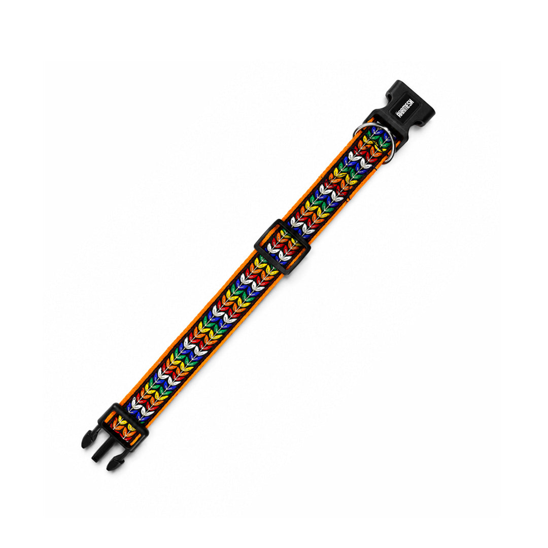 ARAMESH Colourful Trails Cotton Collar & Leash Set