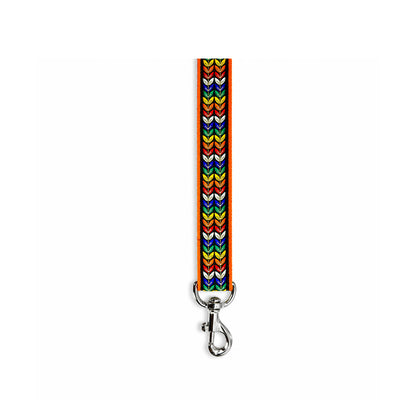 ARAMESH Colourful Trails Cotton Collar & Leash Set