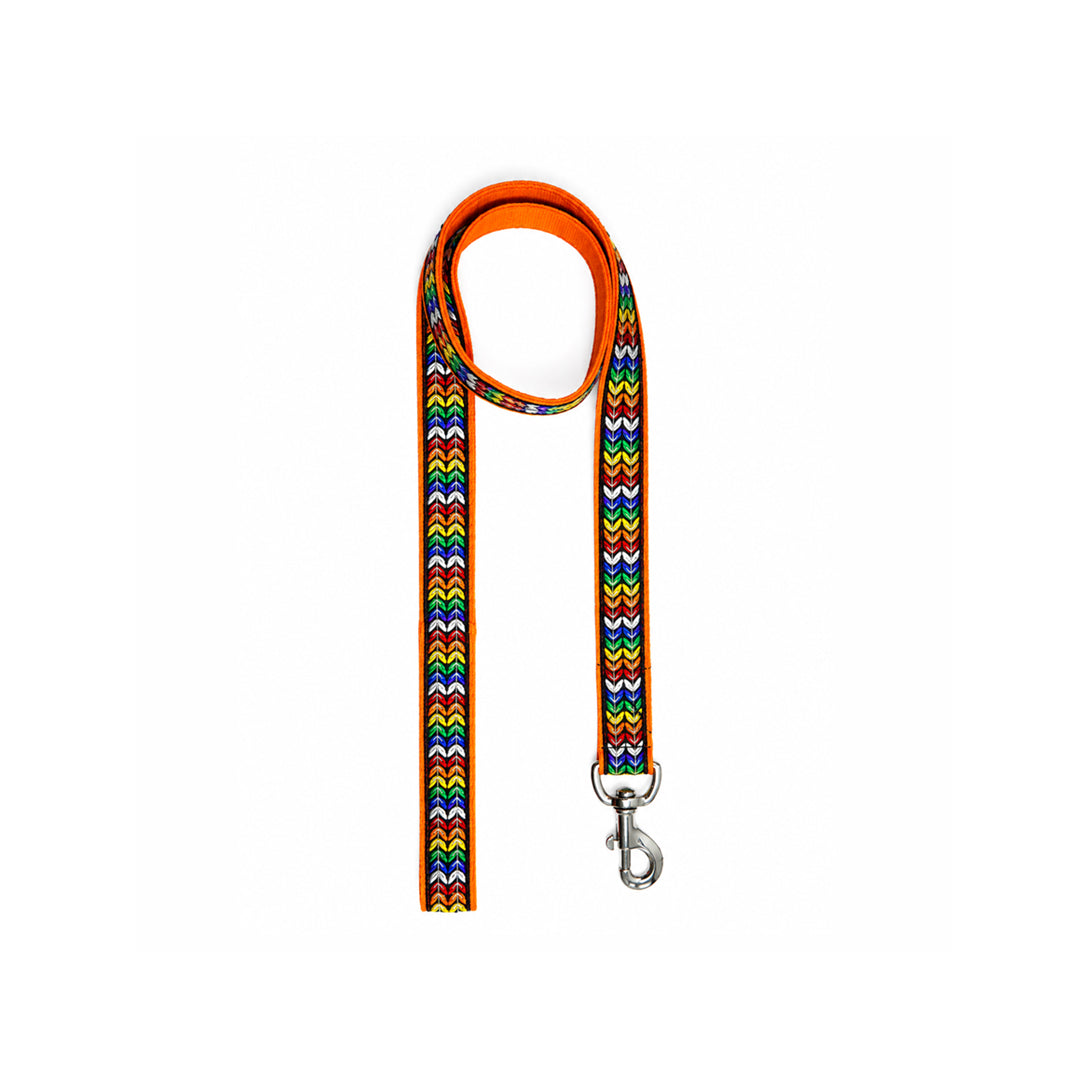 ARAMESH Colourful Trails Cotton Leash