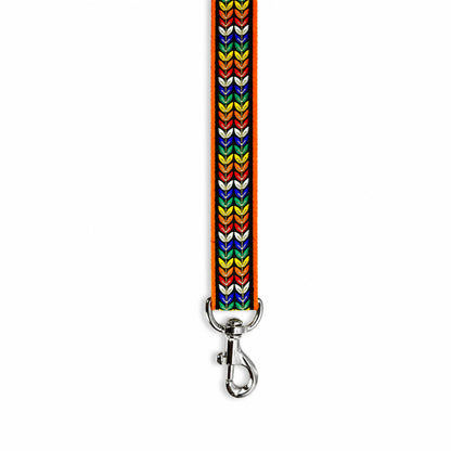 ARAMESH Colourful Trails Cotton Leash