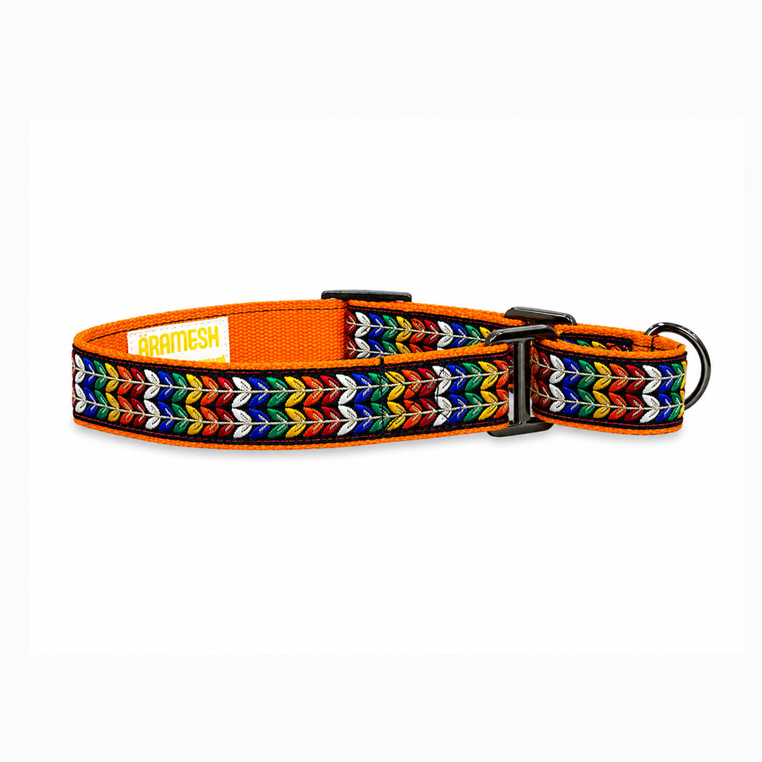 ARAMESH Colourful Trails Cotton Martingale Collar