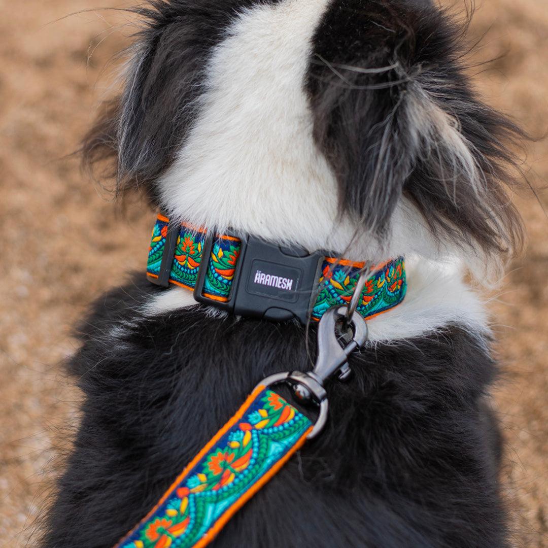 ARAMESH Fire & Ice Cotton Collar & Leash Set