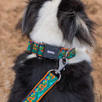 ARAMESH Fire & Ice Cotton Collar & Leash Set