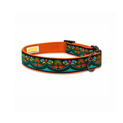ARAMESH Fire & Ice Cotton Collar & Leash Set